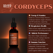 Load image into Gallery viewer, Cordyceps Tincture - 2oz/60mL
