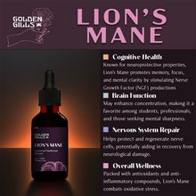 Load image into Gallery viewer, Lion&#39;s Mane Tincture - 2oz/60mL
