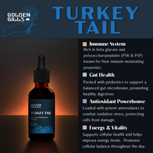 Load image into Gallery viewer, Turkey Tail Tincture - 2oz/60mL
