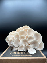 Load image into Gallery viewer, Snow Oyster Future Farm

