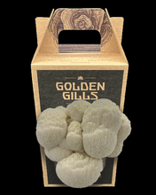 Load image into Gallery viewer, Lion&#39;s Mane Future Farm
