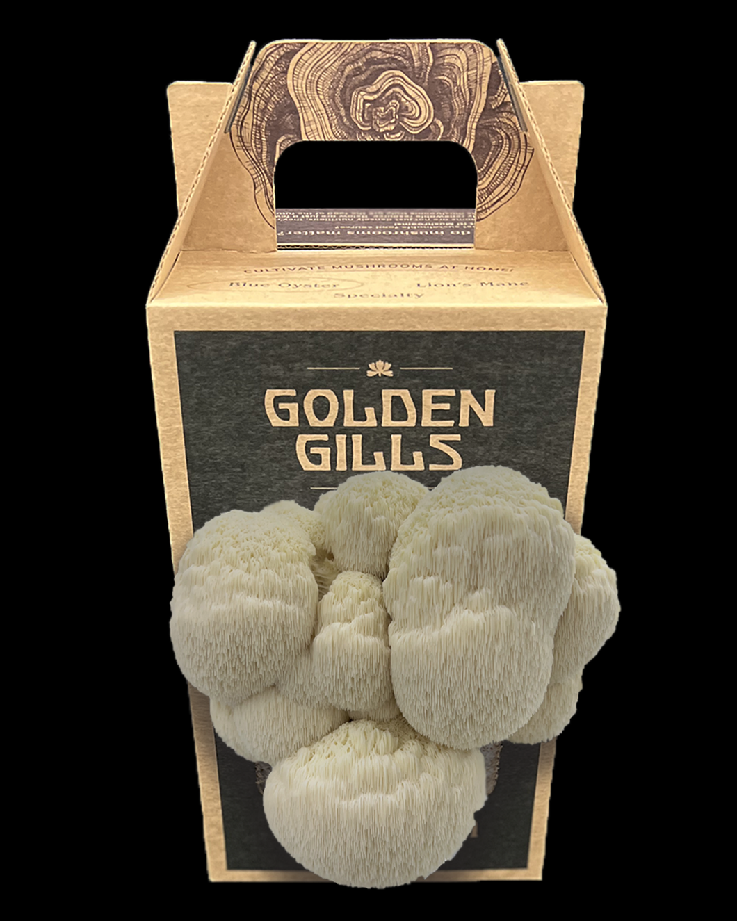 Lion's Mane Future Farm